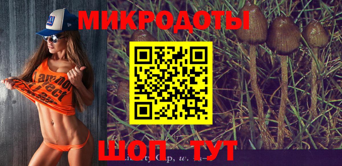 Крымск  Галлюциногенные грибы Psilocybe  Вход с VPN 