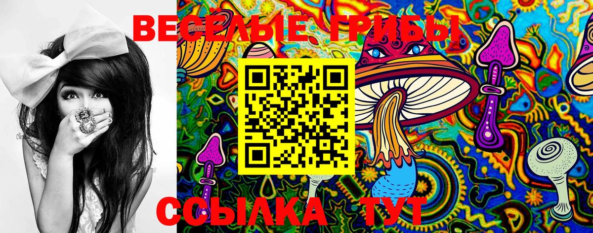 Галлюциногенные грибы MAGIC MUSHROOMS Крымск